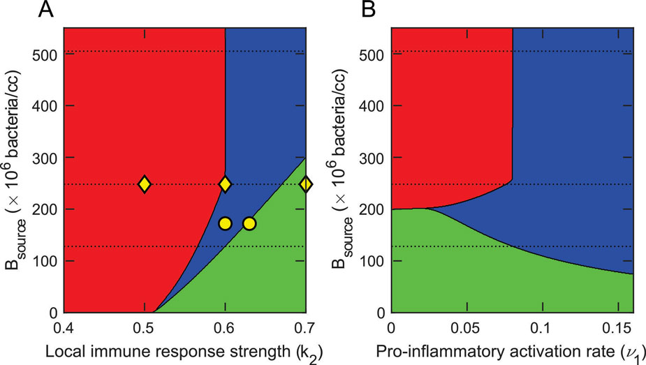 Computational model showing regions of death in rats due to being overwhelmed by bacteria and the immune response.